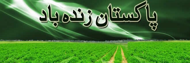 Syed Majid Abbas banner