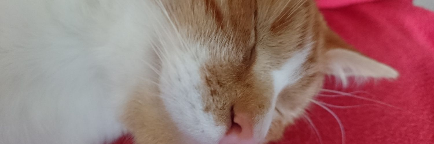 johnwolvo's profile banner image