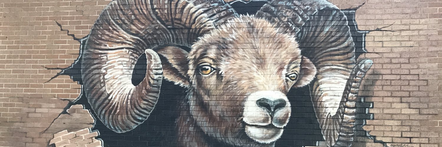 T.H. Rogers PTO banner