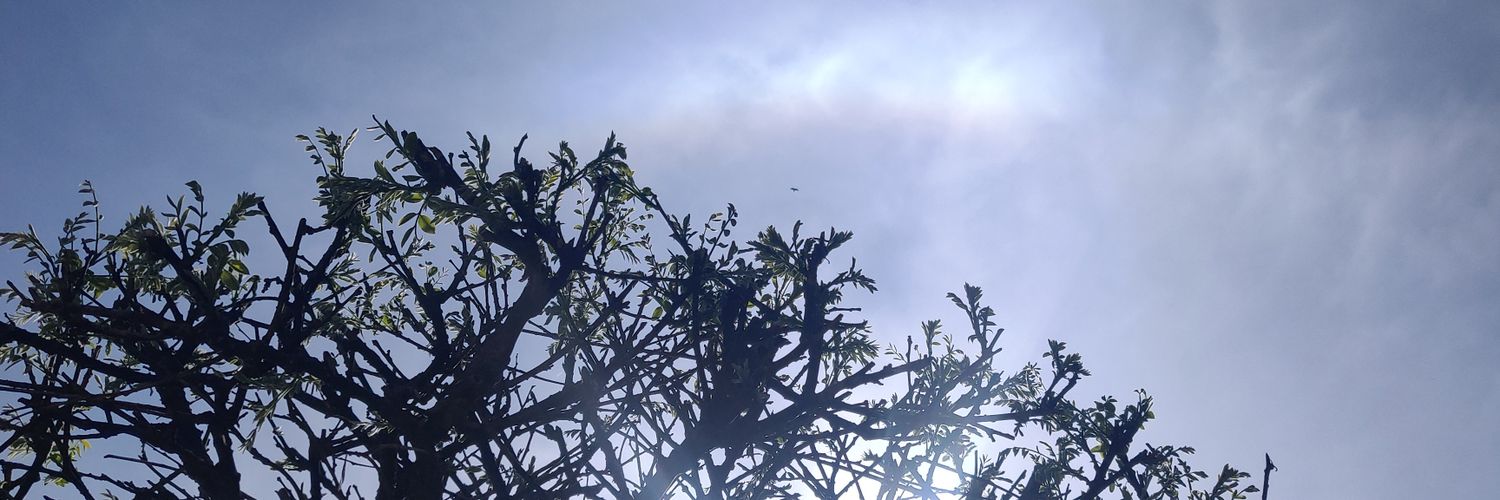 _uroojbukhari's profile banner image