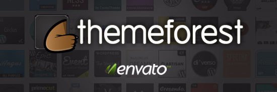 NewsForestTheme's profile banner image