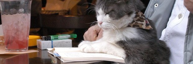 Keiran Lancaster banner