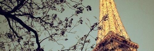 Lau___xD's profile banner image