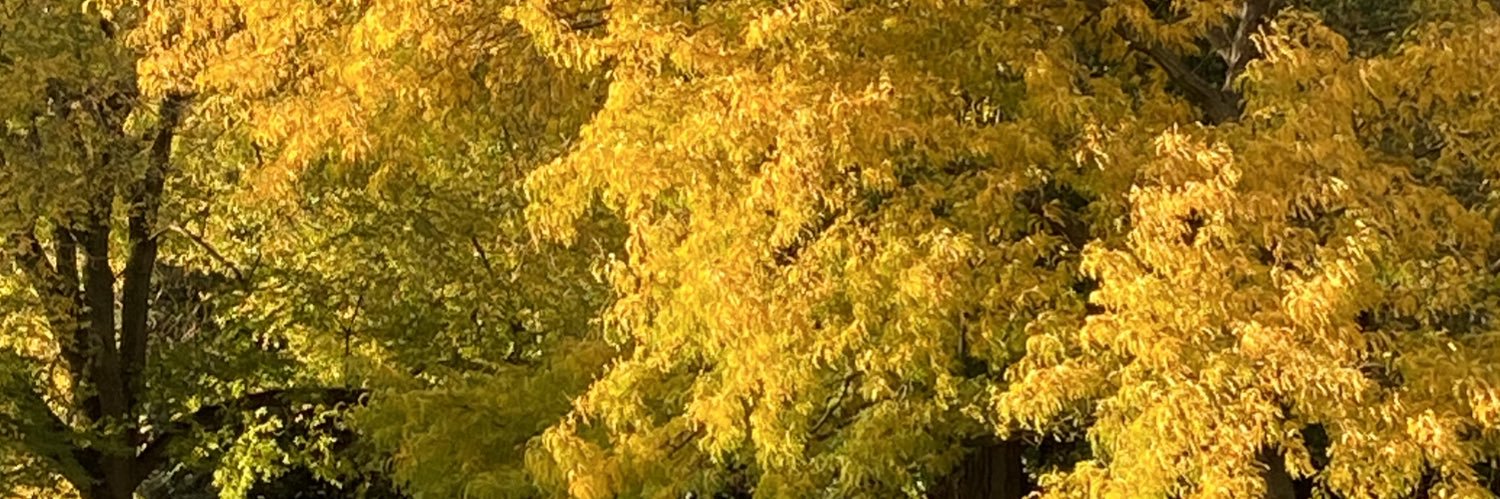 spruce49's profile banner image