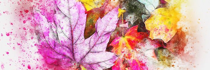 jaena1225's profile banner image