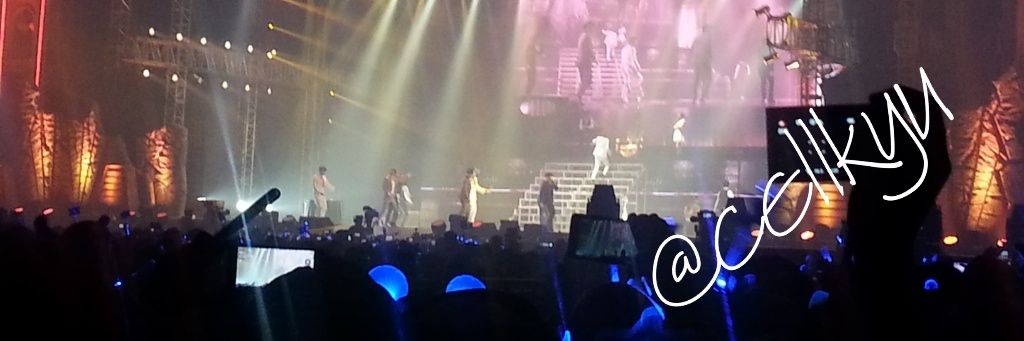 cellkyu's profile banner image
