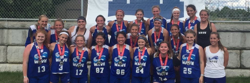 Michigan Wave banner