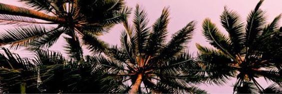 Fat_lloydd's profile banner image