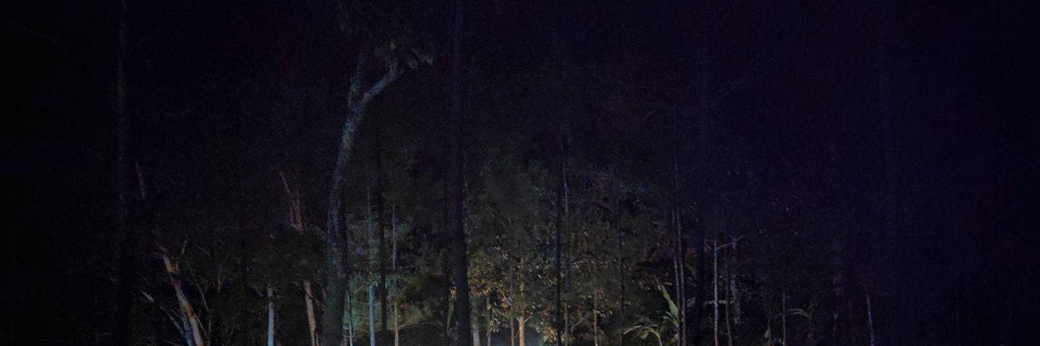 galuhamalia's profile banner image