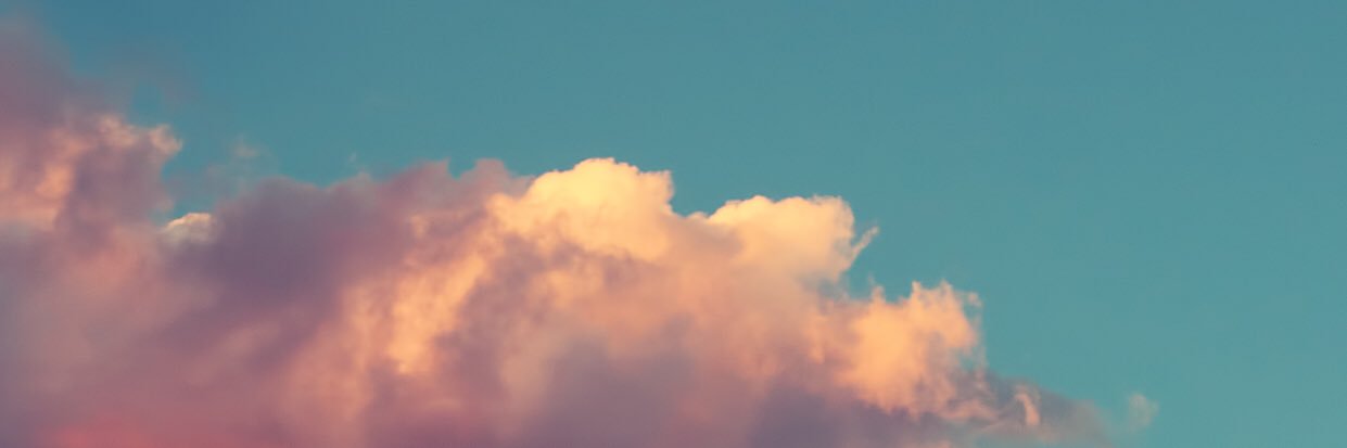 tracykscott's profile banner image