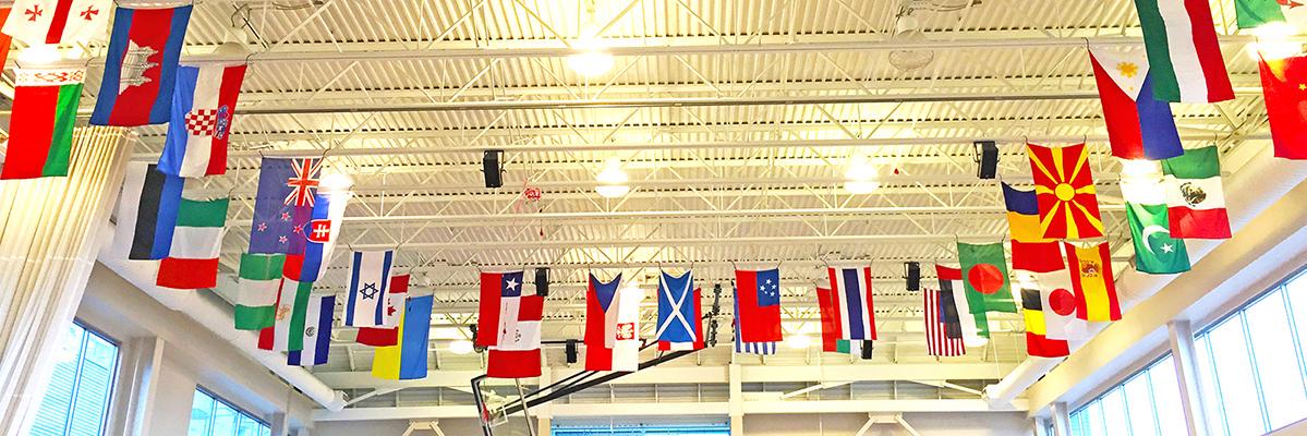 BISC-LP Year 4 banner