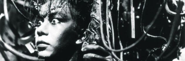 lil_malaya's profile banner image
