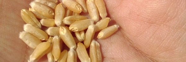 RURALINDIA Profile Banner