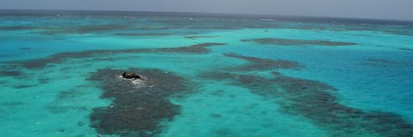 xpardop Profile Banner