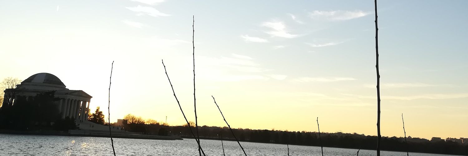 Angelamnu's profile banner image