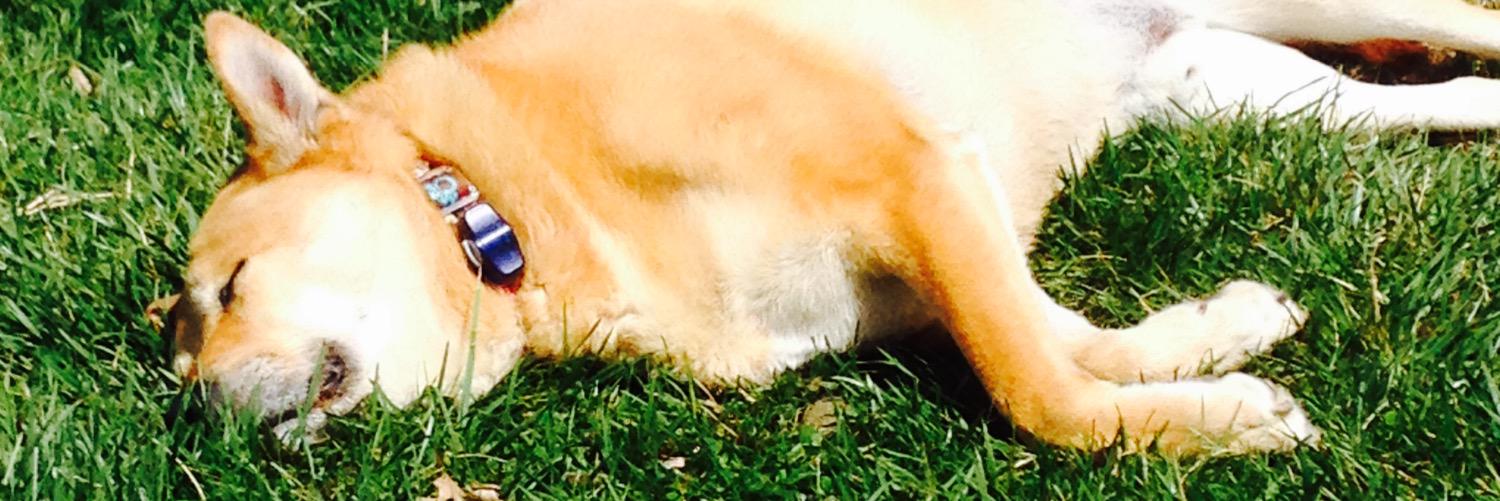 Ms. Heather Miller banner