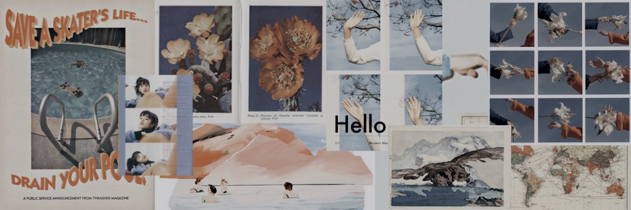 acutebirdie's profile banner image