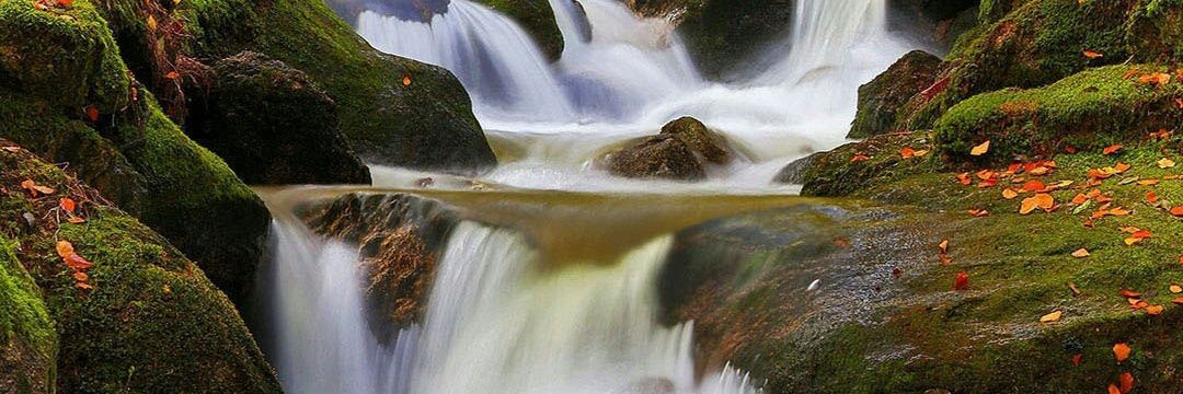 jagweron's profile banner image