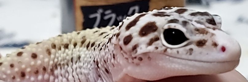 CRVUH's profile banner image