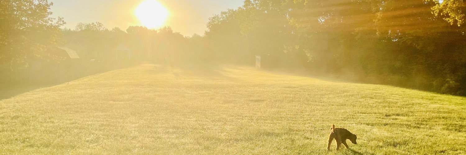 RussellJWyatt's profile banner image