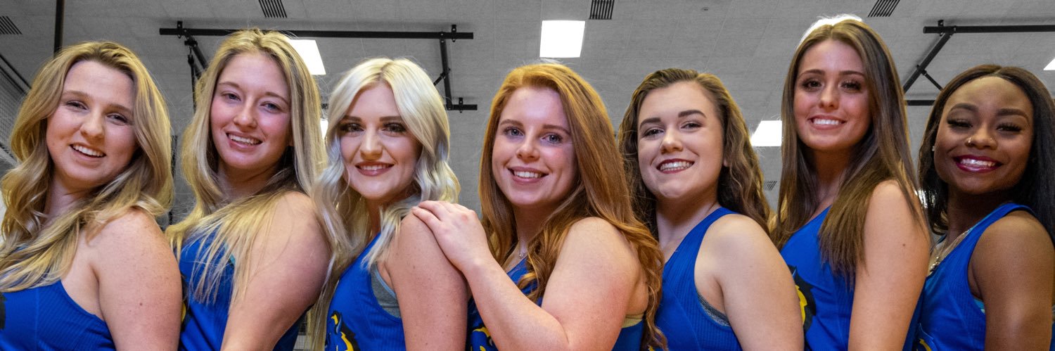 Savage Storm Cheer banner