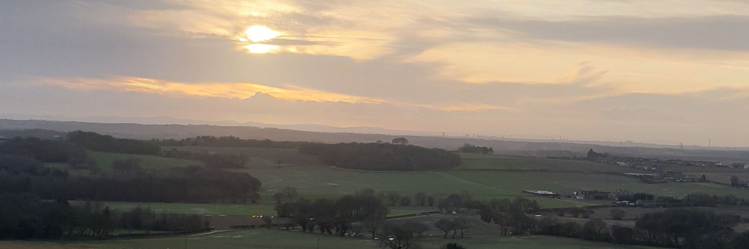 Ella Lotempio banner