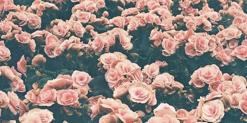 larassh's profile banner image