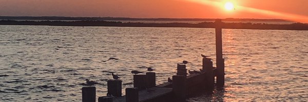 NANNPHOTO51 Profile Banner