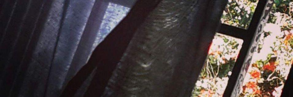 MmaramCom's profile banner image