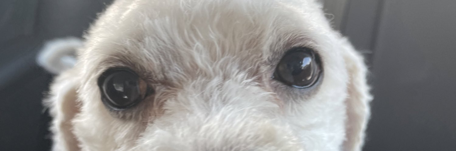 tramp 🏳️‍⚧️ banner