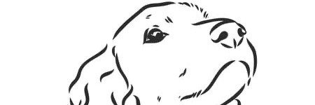 lynole's profile banner image