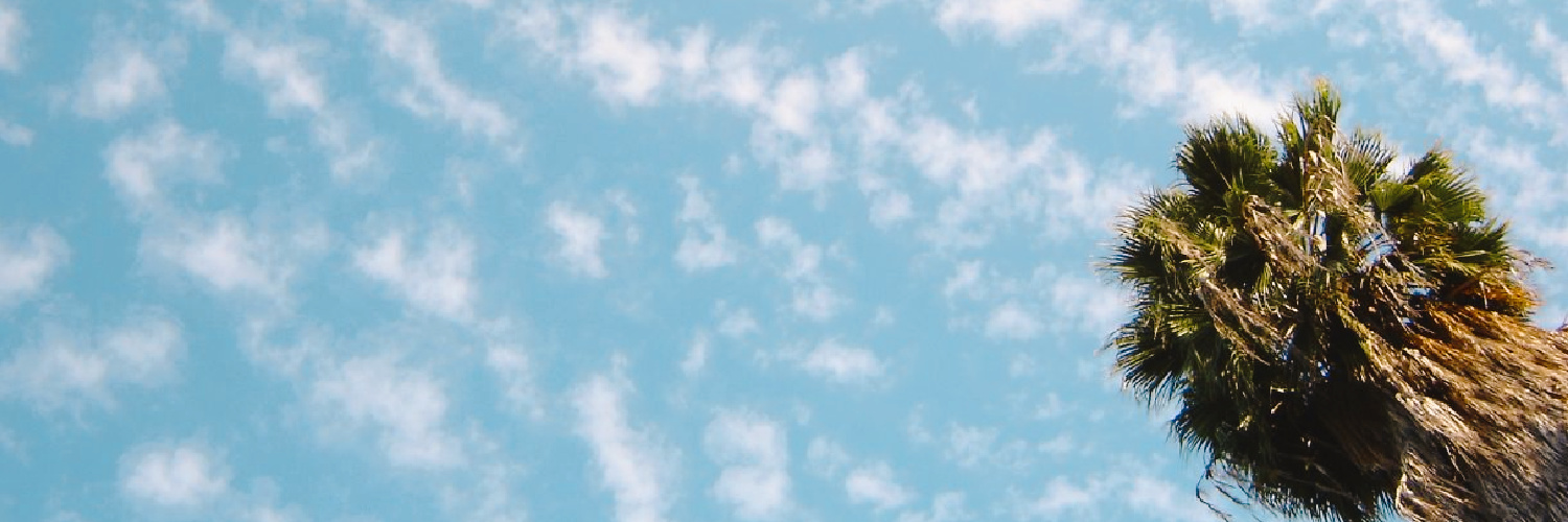 cindylu.bsky.social banner