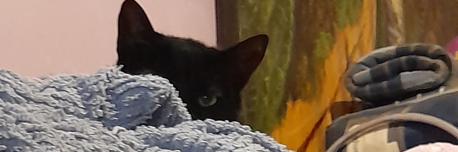 muxacha's profile banner image