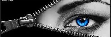 Lauren Reeve banner