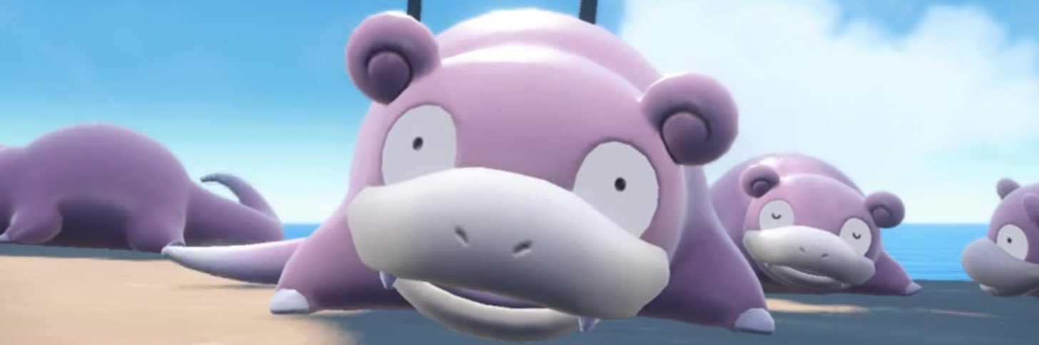 Fran G. Matas banner