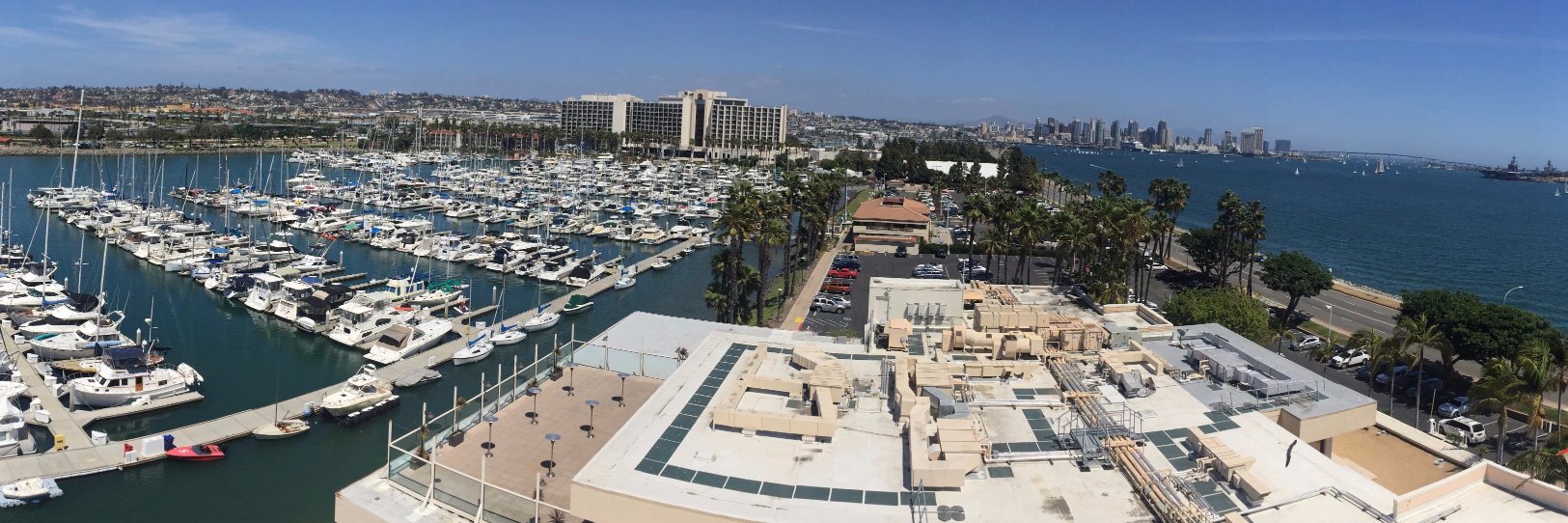 Sean Albert Henry banner