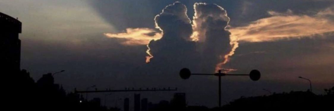 W🧚🏼‍♀️ banner