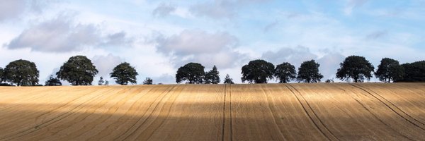 sarahbekaert Profile Banner