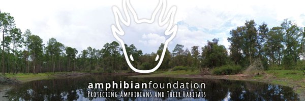 amphibianfound Profile Banner