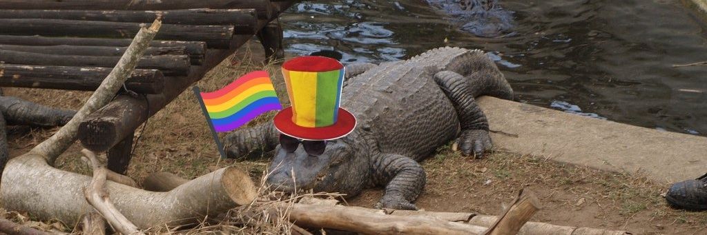 themollylamaa's profile banner image