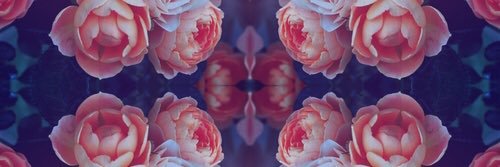 the_katweeks's profile banner image