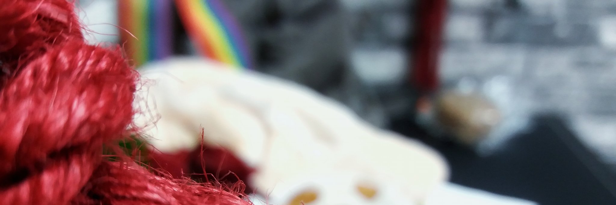 林泂志 (Soa) banner