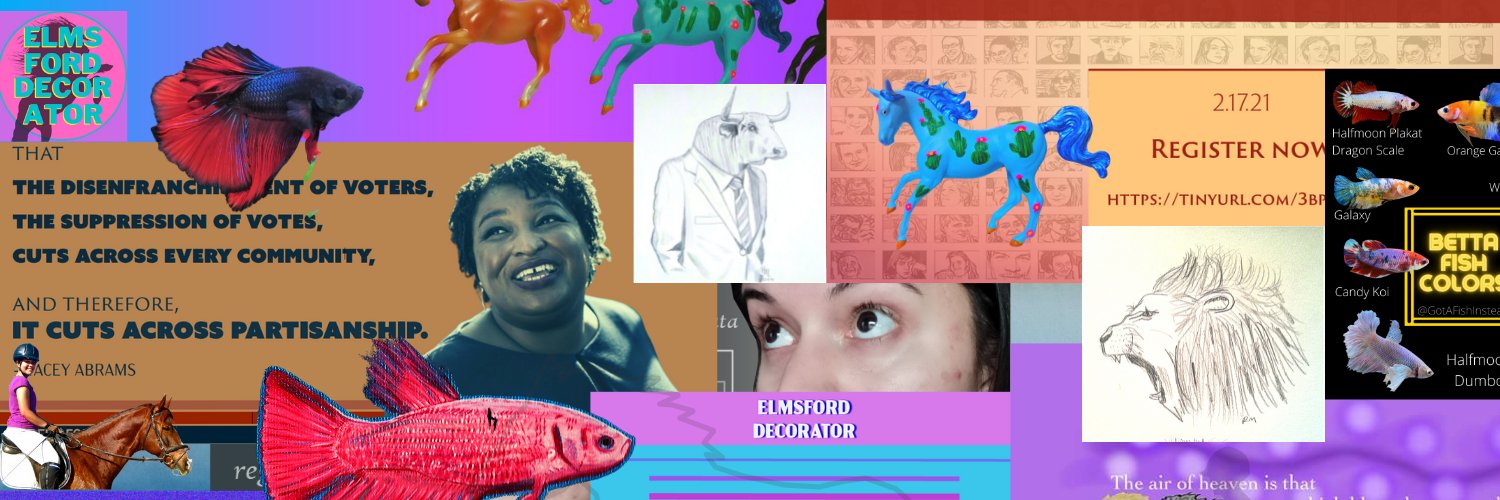 raquel o. missbrenner banner