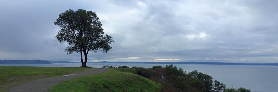 John Mulligan banner