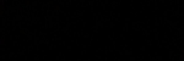 shashkov0 Profile Banner