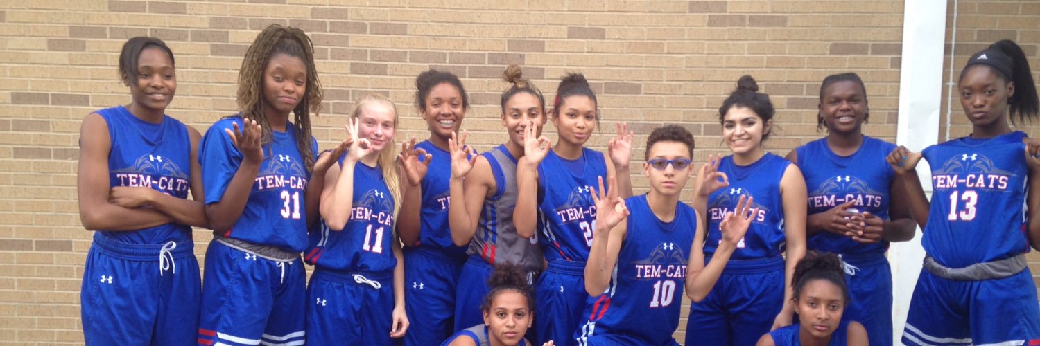 Tem-Cat Basketball banner