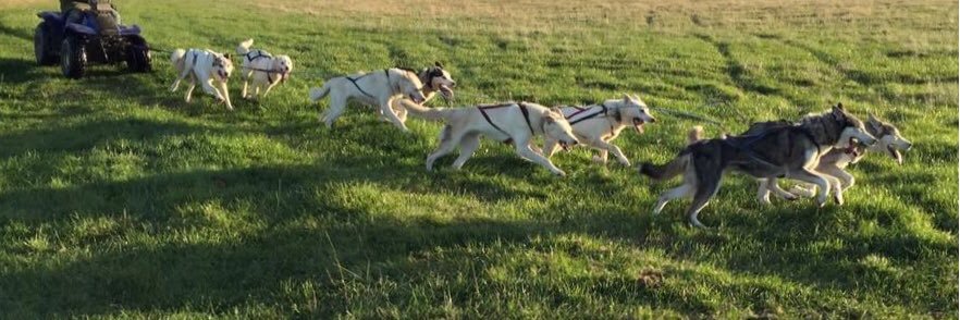 Adrian Tilsed banner