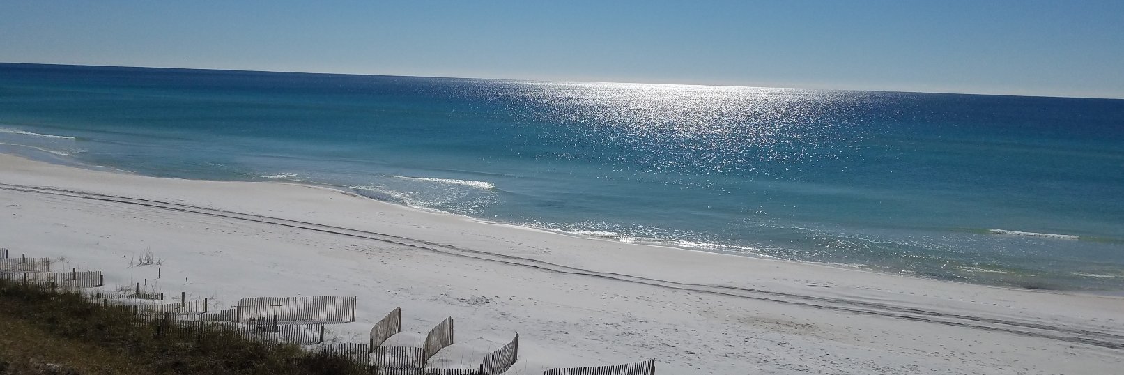LauraSilsbee's profile banner image