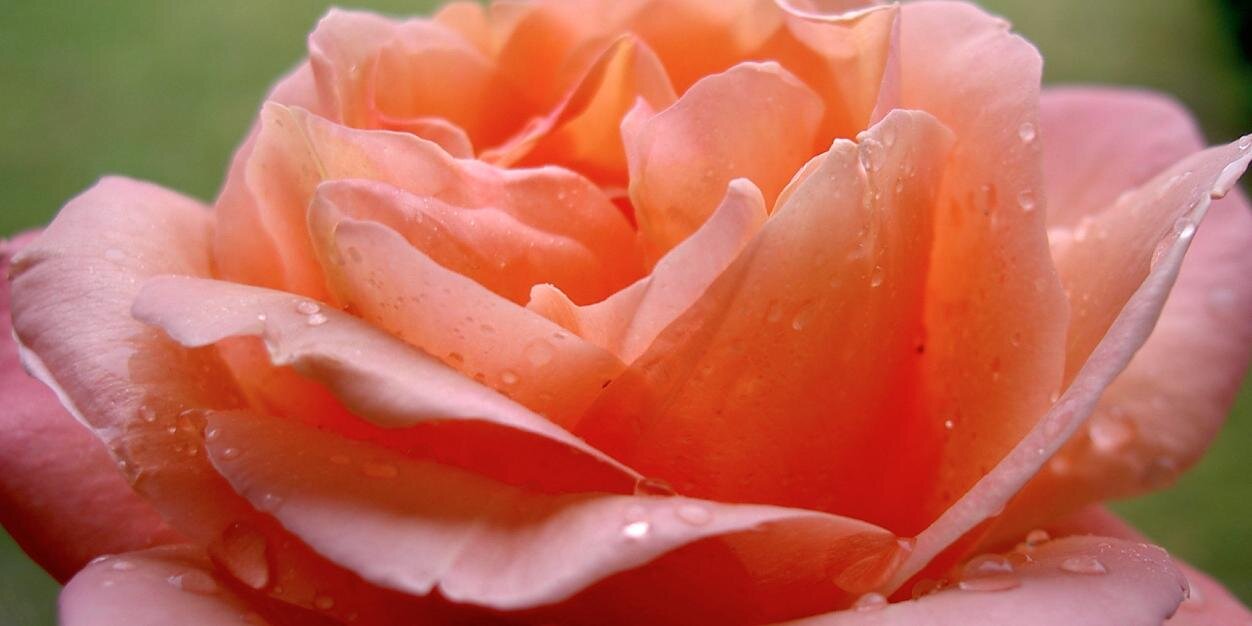 AwareLiving's profile banner image