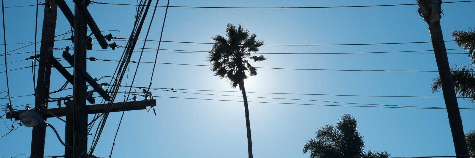 Joan Gamell, bonvivant.eth banner